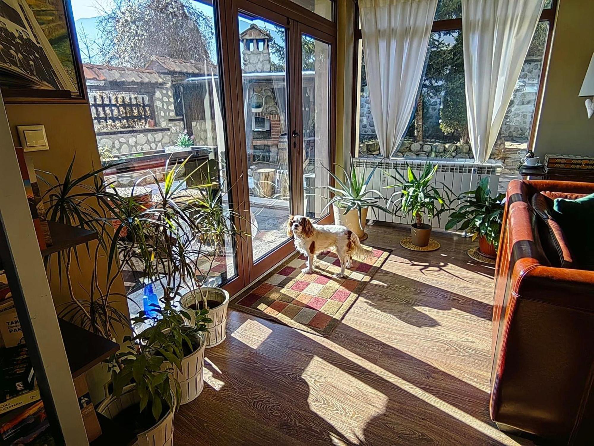 Hotel Famil - Adults Only Банско Экстерьер фото